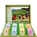 Wissotzky Green Tea Chest, Assorted Tea Collection w/ 80 Assorted Green Teas