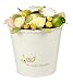 The Baby Bunch Large Bucket Yellow 0 to 6 Months