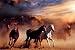 Horses (Stampede) Art Poster Print - 24x36 Poster Print, 36x24 Animal Poster Print, 36x24