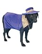 Fun Pet Halloween Costume Pimp Doggy