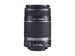 Canon EF-S 55-250mm f 4 0-5 6 IS Telephoto Zoom Lens for Canon Digital SLR Cameras