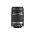Canon EF-S 55-250mm f/4.0-5.6 IS Telephoto Zoom Lens for Canon Digital SLR Cameras + Tiffen 58mm UV Filter $144