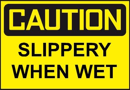 Slippery When Wet t-shirt Youth T-Shirt