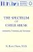 The Spectrum of Child Abuse: Assessment, Treatment and Prevention (Basic Principles into Practice)