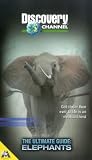 Discovery Channel - The Ultimate Guide: Elephants [VHS] [1996]