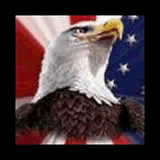 zlauncher patriotic wallpaper downloadable Software