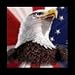 zlauncher patriotic wallpaper downloadable Software Image