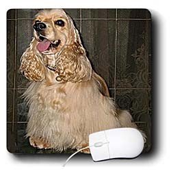 image link -  - B000EGCBV6