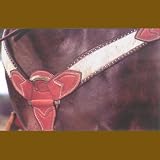 Hair-inset 2 3/4 Breastcollar