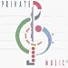 The Private Music Sampler, Vol. 4