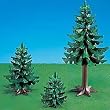 Large & Small Pine Trees