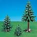 Large & Small Pine Trees