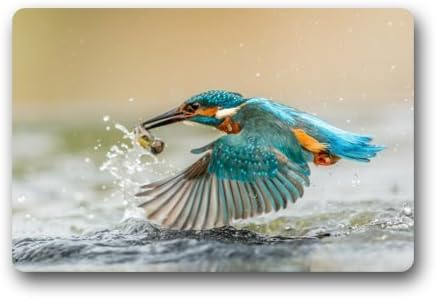 YeYeYe Custom Kingfisher Catching Fish Birds and Animal Machine Washable Fashion Entrance Doormat Indoor/Outdoor Non-Slip Rug Cover 23.6(L) x 15.7(W) inch
