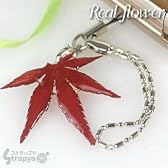 美しい生花で作られた誕生花＊*リアルフラワー携帯ストラップ（10月/紅葉）