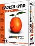 Dagesh Translator Professional - A Full Document Bi-Directional Translating System