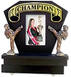 Delux Picture Frame & Ranking Belt Display - Champion