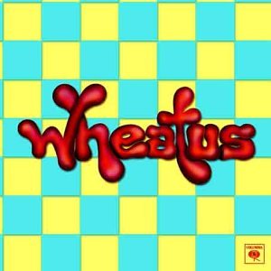 Wheatus - Teenage Dirtbag (acoustic) Lyrics - Zortam Music