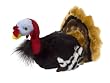 Coleman Turkey Pet Toy