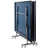Halex Fusion Table Tennis Table