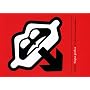 Lingua Grafica: Gro�es Nachschlagewerk Bildsprache