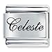 Edwardian Script Font Name Celeste Italian Charm