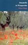 Donatello in Wangaratta (Contemporary Australian poets)