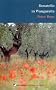 Donatello in Wangaratta (Contemporary Australian poets)