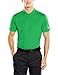 Nike Golf Victory Solid Polo (Classic Green/White) (Large)
