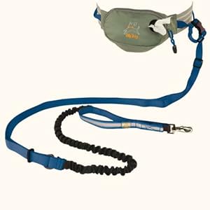 pet supplies dogs collars harnesses leashes leashes basic leashes pet supplies dogs collars harnesses leashes leashes basic leashes