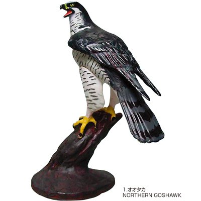 Cover image : 立体図鑑リアルフィギュアボックス ラプター (猛禽類 ワシタカ類)