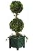 Ivy Multicolor ball Topiary