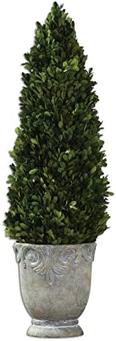 Uttermost Preserved Boxwood Cone Topiary