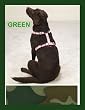 GREEN - MEDIUM - Adjustable Camo Dog Harnesses
