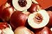 Arctic Rose Nectarine Tree Five Gallon
