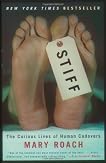 stiff