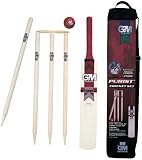 Gunn & Moore Michael Vaughan Hit 4 Six Cricket Set - Size 4