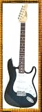 Professional Rockin Blue Electric Guitar
