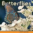 Butterflies 2009 Wall Calendar