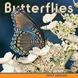 Butterflies 2009 Calendar