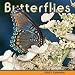 Butterflies 2009 Wall Calendar
