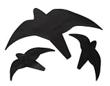 Eigenschaften Schwegler 00436/9 / Schwegler 00436/9 Greifvogelsilhouette schwarz