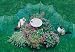 Green Set of 4 Kittywalk Curves for Cats