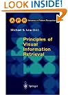 Principles of Visual Information Retrieval (Advances in Computer Vision and Pattern Recognition)