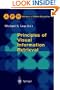Principles of Visual Information Retrieval (Advances in Computer Vision and Pattern Recognition)