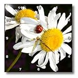 daisies with a ladybug - 10x10 Wall Clock