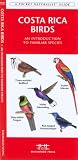 Costa Rica Birds: An Introduction to Familiar Species (International Nature Guides)