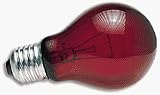Night Light Red Reptile Bulb (100 watt)