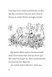 Produkt-Bild: Lauras Zauberritt Sternenschweif Bd .4