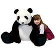 Plush Giant Panda