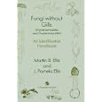Fungi without Gills (Hymenomycetes and Gasteromycetes): An identification handbook